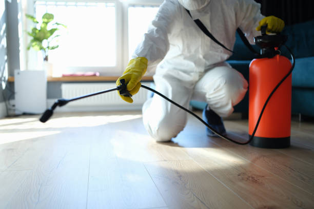 Reliable Odor Removal contractor in Bradley Beach, NJ by Trauma Clean Pros
